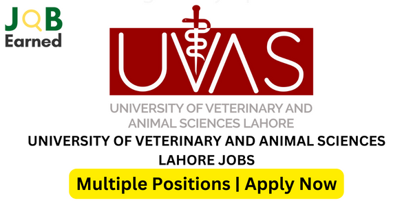 University of Veterinary & Animal Sciences Lahore Job Oct-2023 Apply Now