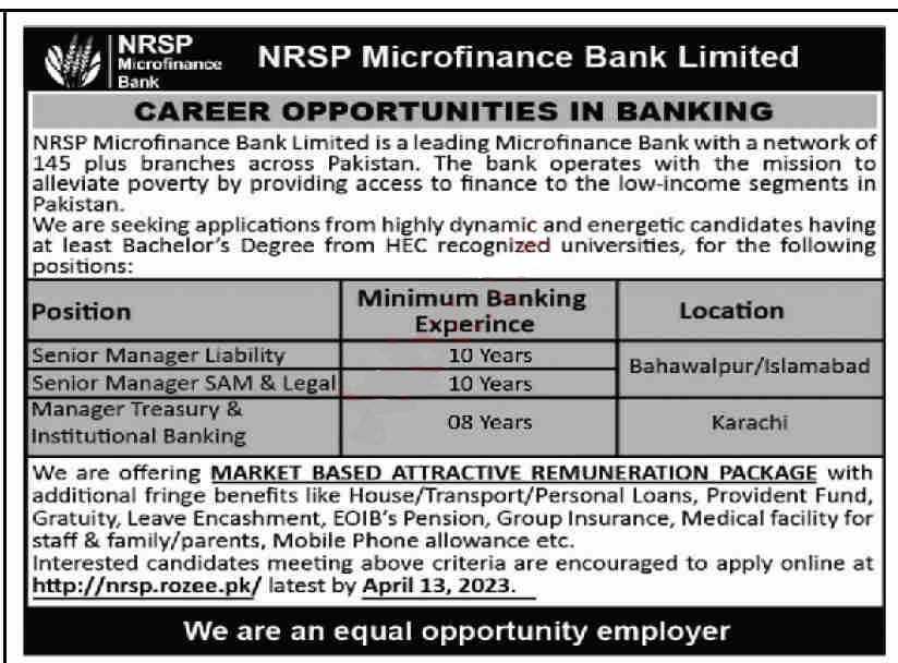 Position at NRSP Microfinance Bank Limited 2023