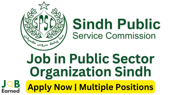 Latest Job in Public Sector Organization Sindh 2023