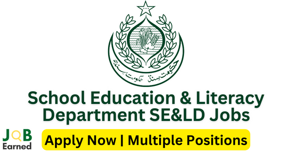 Positions at SE&LD Govt of Sindh 2023