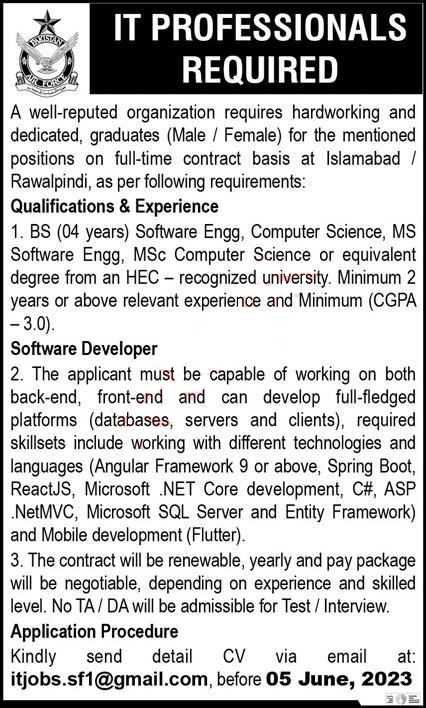 IT Professionals Required at PAF 2023