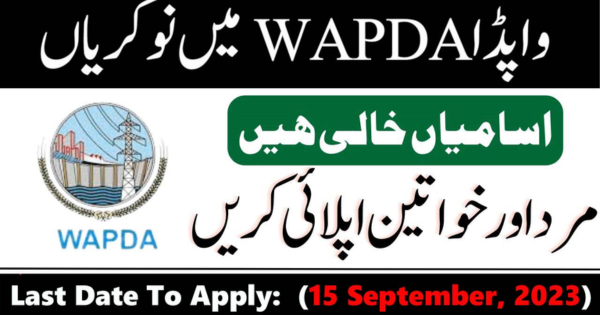 30+ Jobs Opportunities in WAPDA September 2023 both Male & Female are Eligible: Apply Now