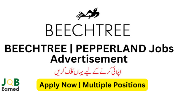 BEECHTREE | PEPPERLAND Audit Job Nov-2023 Apply Now