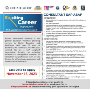 Riphah Group IT Jobs Nov-2023 Both Male & Female Can Apply