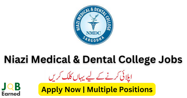 Niazi Medical & Dental College Jobs Dec-2023 For Both Male & Female Apply Now