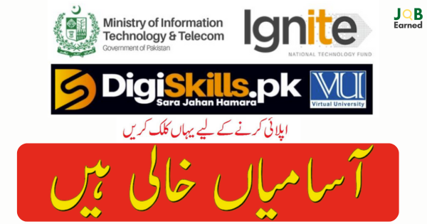 Ministry of IT Digiskill.pk Jobs Apply Now