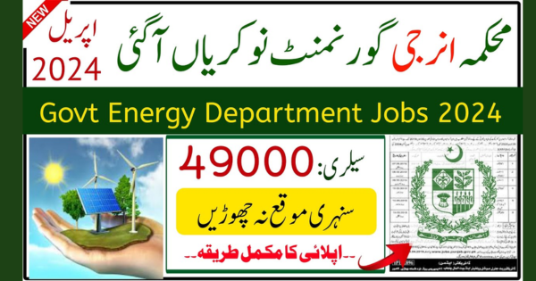 +50 Jobs in Energy Department of Govt of Punjab Apply Now