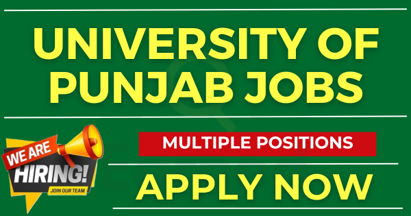 University of Punjab Jobs for Primary Pass Apply Now