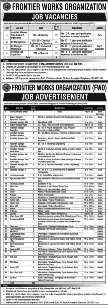 Multiple Jobs Opening at Frontier Works Organization Apply Now | Primary to Masters